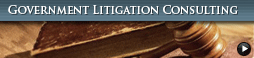 Government Litigation Consulting